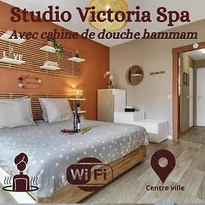 Appartement Victoria Spa, Au Coeur Du Centre-ville Hammam -wifi -grand Lit Double Queen Size 160x200cm, Aix-les-Bains